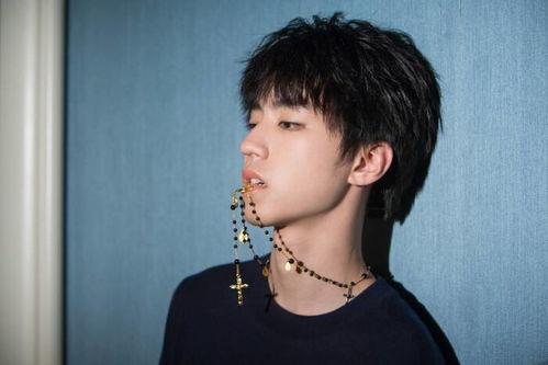 娱乐吃瓜蜀黍王俊凯微博